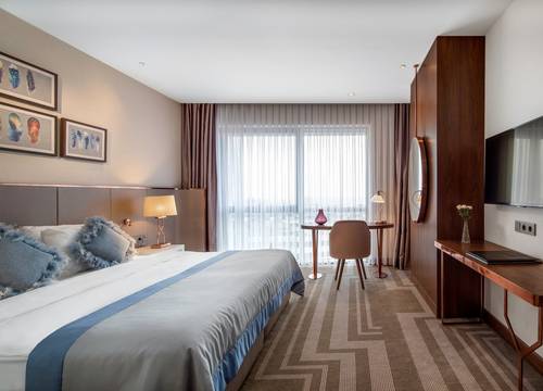 turkey/istanbul/lionelhotelistanbulbayrampasa428881db.jpg