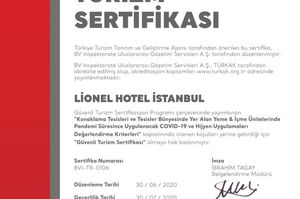 turkey/istanbul/lionelhotelistanbulbayrampasa7421fa4e.jpg