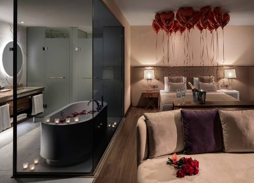 turkey/istanbul/lionelhotelistanbulbayrampasad32c0950.jpg