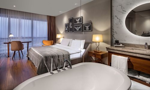turkey/istanbul/lionelhotelistanbulbayrampasad71ee495.jpg
