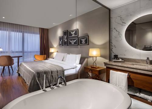 turkey/istanbul/lionelhotelistanbulbayrampasad71ee495.jpg