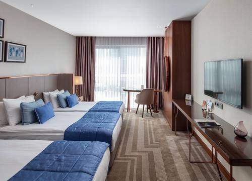 turkey/istanbul/lionelhotelistanbulbayrampasaee356808.jpg