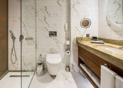 turkey/istanbul/lionelhotelistanbulbayrampasaf0db5a7e.jpg