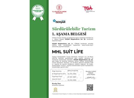 turkey/istanbul/locasuite7999489.jpg