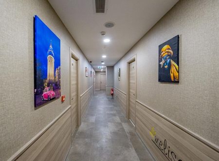 turkey/istanbul/melisasuitresidencehotel3b9202b2.jpg