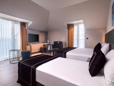 Standard Panoramic Room