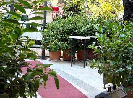turkey/istanbul/mugworthotelspa76da4e29.jpg