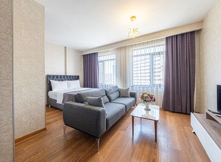turkey/istanbul/pendik/elitsuites58c2e6b5.jpg