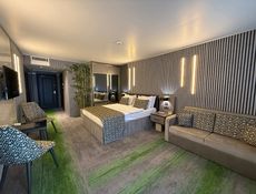 Executive Terrace Room
