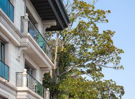 turkey/istanbul/sariyer/myfinestbosphorushoteltarabya81806f88.jpg
