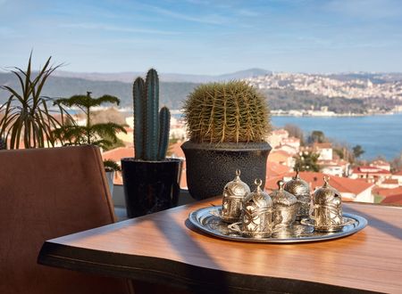 turkey/istanbul/sariyer/tarabyasuitesea748221.jpg