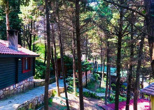 turkey/istanbul/sile/agvaormanevleriforestlodge281747e2.jpg