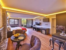 Hera-Zimmer mit Balkon, Türkischem Bad, Sauna, Whirlpool, Schockdusche und Kamin