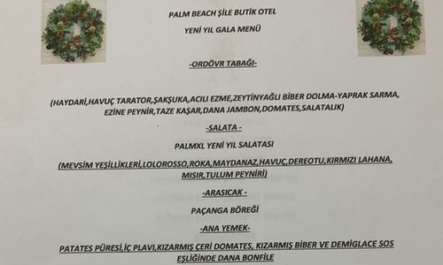 turkey/istanbul/sile/palmbeachsiled654ff91.jpg