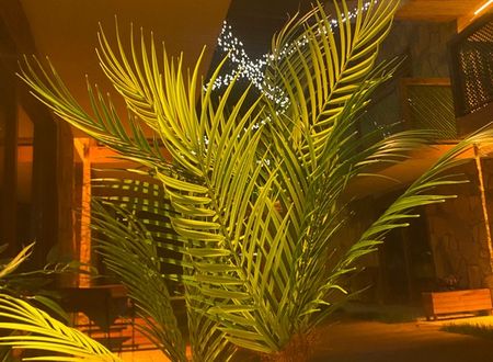 turkey/istanbul/sile/tasmahallluxuryhotel69b72e50.jpg