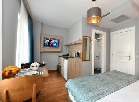 turkey/istanbul/sisli/andihotel5c902b59.jpg