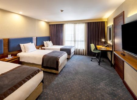 turkey/istanbul/sisli/holidayinnsisli38fa6e48.jpg