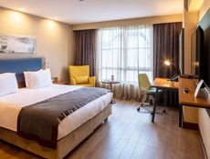 Deluxe King Bedroom