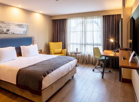 turkey/istanbul/sisli/holidayinnsislid3631e65.jpg