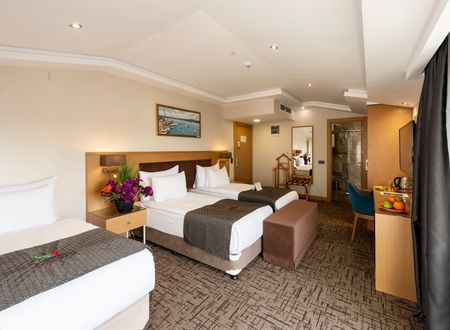 turkey/istanbul/sisli/hotelboursieristanbulc9fd19f2.jpg