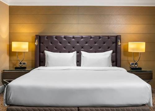 turkey/istanbul/sisli/radissonbluhotelistanbulsislic842d392.jpg