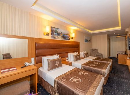 turkey/istanbul/sisli/regnohotel0085717d.jpg