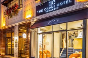turkey/istanbul/sisli/thecaprihotelosmanbey3f934993.jpg