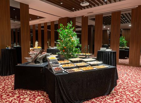 turkey/istanbul/sisli/thecratonhotel5a824980.jpg