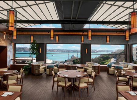 turkey/istanbul/sisli/theritzcarltonistanbulatthebosphorus58048591.jpg