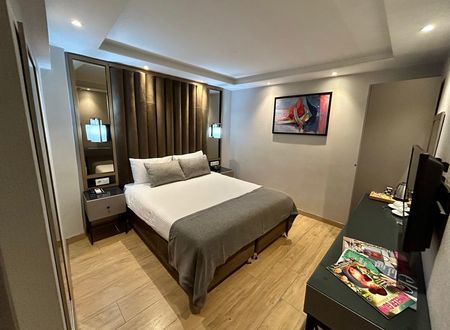 turkey/istanbul/sisli/theroomyhotelnisantasia924295d.jpg