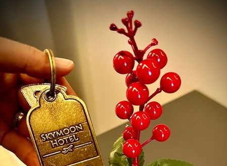 turkey/istanbul/skymoonairporthotelb9b7b598.jpg