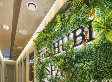 turkey/istanbul/thehubihotel735ccfb0.jpg