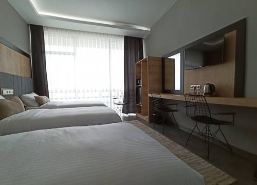 turkey/istanbul/theistanbulairporthotel22c98a9d.jpg