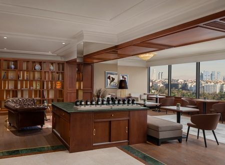 turkey/istanbul/theritzcarltonistanbulatthebosphorus0db9c740.jpg