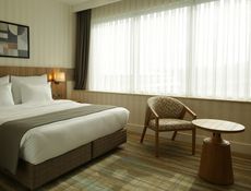 DELUXE FRENCH ROOM