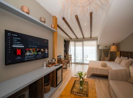 turkey/istanbul/villasiestahotelistanbul0c795ca5.jpg