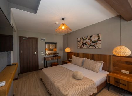 turkey/istanbul/villasiestahotelistanbul37e48ee4.jpg