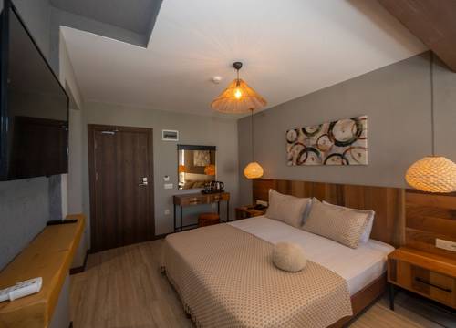 turkey/istanbul/villasiestahotelistanbul37e48ee4.jpg
