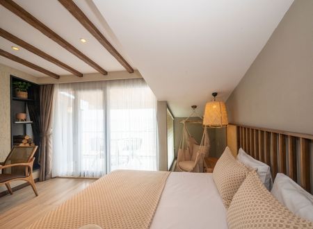 turkey/istanbul/villasiestahotelistanbul76025018.jpg