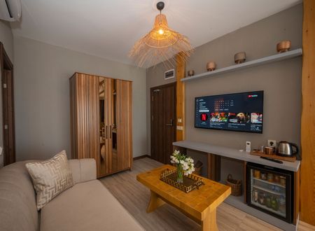 turkey/istanbul/villasiestahotelistanbul773aa172.jpg