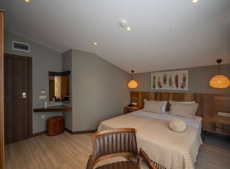 turkey/istanbul/villasiestahotelistanbul9aa34138.jpg