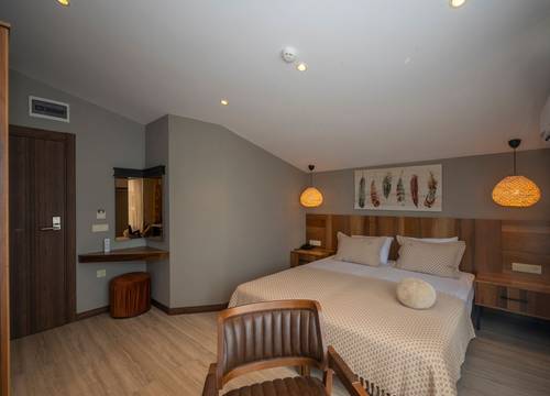 turkey/istanbul/villasiestahotelistanbul9aa34138.jpg
