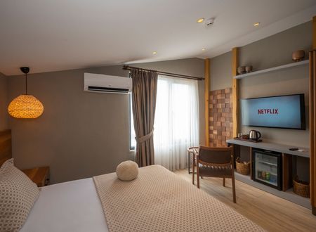 turkey/istanbul/villasiestahotelistanbul9eecb8cd.jpg