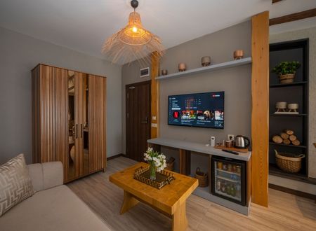 turkey/istanbul/villasiestahotelistanbulb4f74aca.jpg