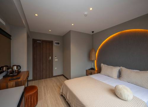 turkey/istanbul/villasiestahotelistanbulb971e647.jpg