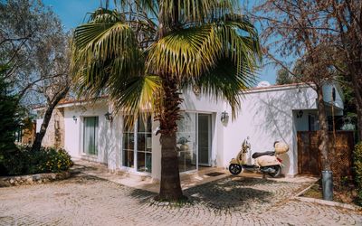 Bir Dem Urla · 3