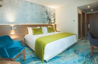 Deluxe Room With 1 Double Bed