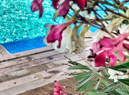 turkey/izmir/cesme/alacatibarbarossahotel953078f5.jpg