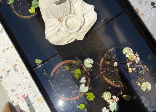 turkey/izmir/cesme/alacatimonkboutiquehotel86791c8c.jpg
