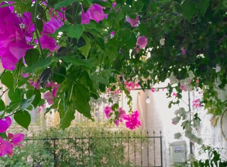 turkey/izmir/cesme/azizepalasapart49c8f3f7.jpg